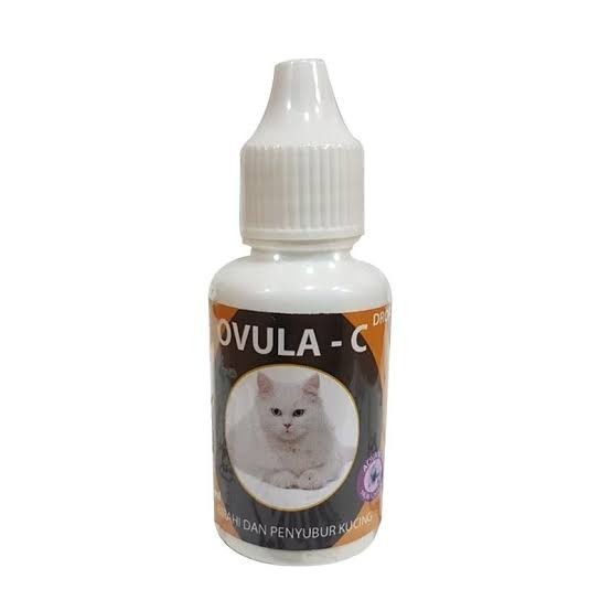 Ovula-Cat Drop (OVULA-C) adalah suplemen yang mengandung bahan herbal khusus untuk menyuburkan dan membangkitkan birahi kucing dewasa baik jantan maupun betina