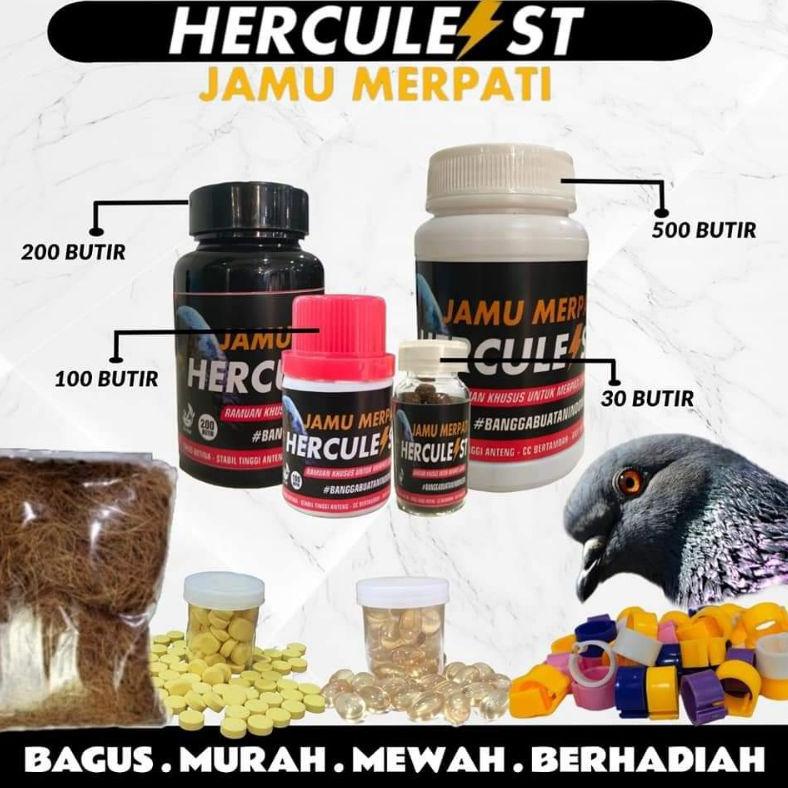 『MPD』 Jamu Merpati Kolong Hercules || Merpati Kolong Manuver Jablai Sprint Balap Giring Keket Stut L