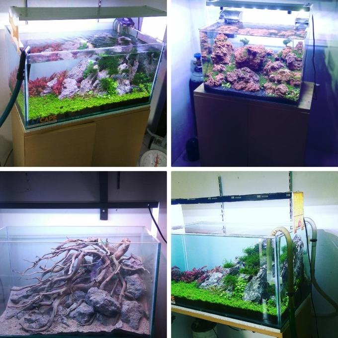 Lampu Led Diy Hpl Aquarium Aquascape 36 Watt 80Cm 90Cm 100Cm Murmer