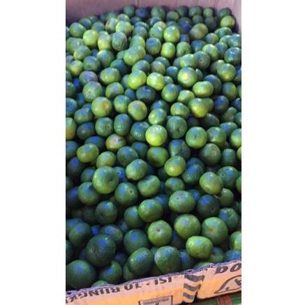 

♠ jeruk limau limo 1 kilogram / 1kg / kecil