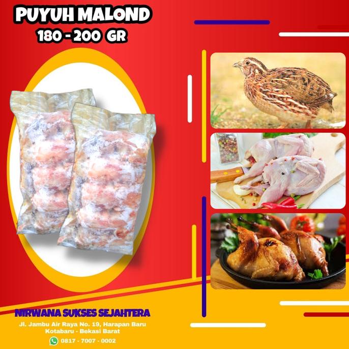 

BURUNG PUYUH MALOND (180-200 GR) ISI 10 EKOR TERLARIS