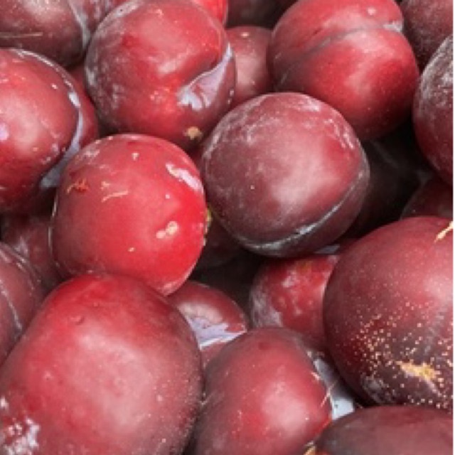 

Plum Fresh Australia