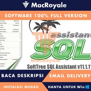 [Full Version] SoftTree SQL Assistant Enterprise Edition Lifetime Garansi