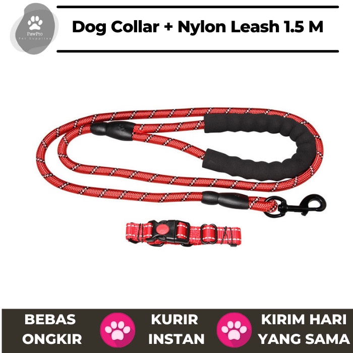 Terlaris Tali Dan Kalung Anjing Dog Collar And Leash Tali Anjing Nylon