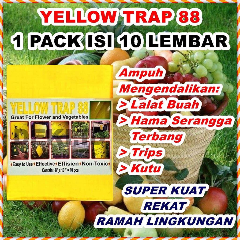 Baru Yellow Trap Perangkap Hama Lem Perekat Lalat Buah Likat Kuning Serangga Kutu Terbang Insect