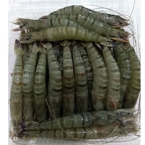 

Udang Pancet/ windu/ Tiger ak.35/40