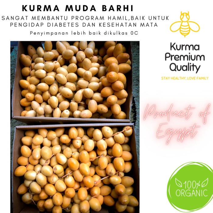 

1/2KG Kurma Muda PAKET PROMIL Program Hamil MANIS Mengkel Fresh