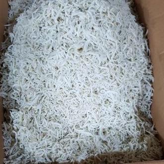 

➺ Teri Nasi Halus ung Balai ☈