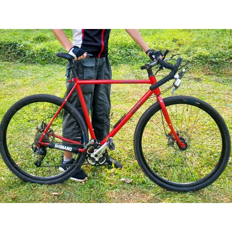 frame set (frame, fork) surly custome. look like