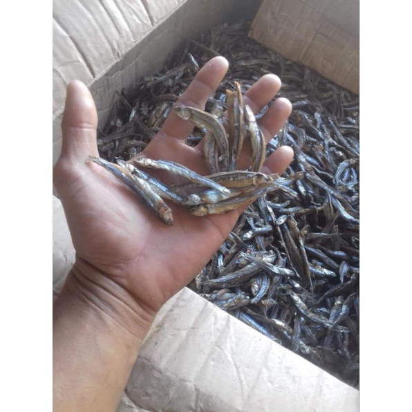 

READY !! Ikan teri dari Kepulauan selayar berat 1kg