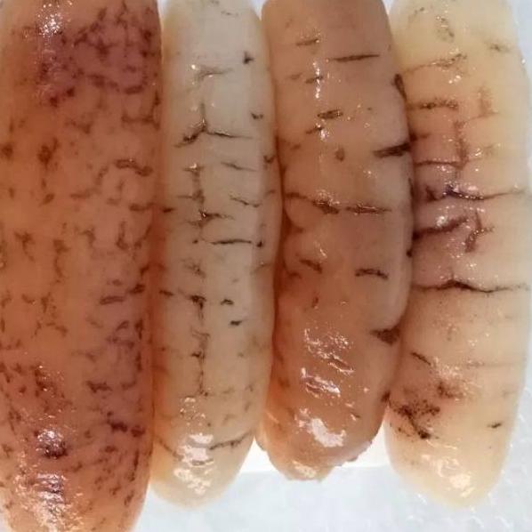 

SALE TERBAIK Hoisem haisom teripang asli belitung GRADE A 500gr