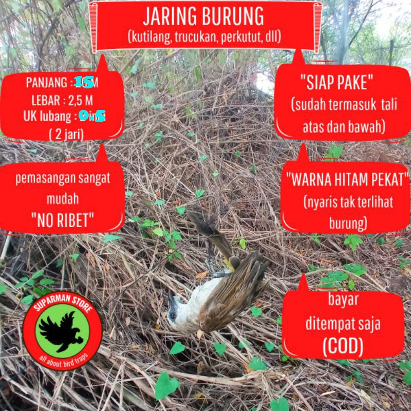 READY TERMURAH JARING NET SENAR NILON JEBAKAN BURUNG DERKUKU PERKUTUTTRUCUK KUTILANGPLECI PIPIT KUAT