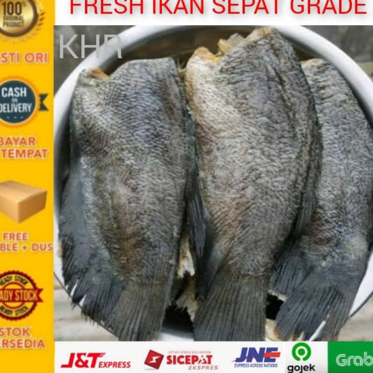 

✮ Ikan asin sepat grade super - ZHR ➻
