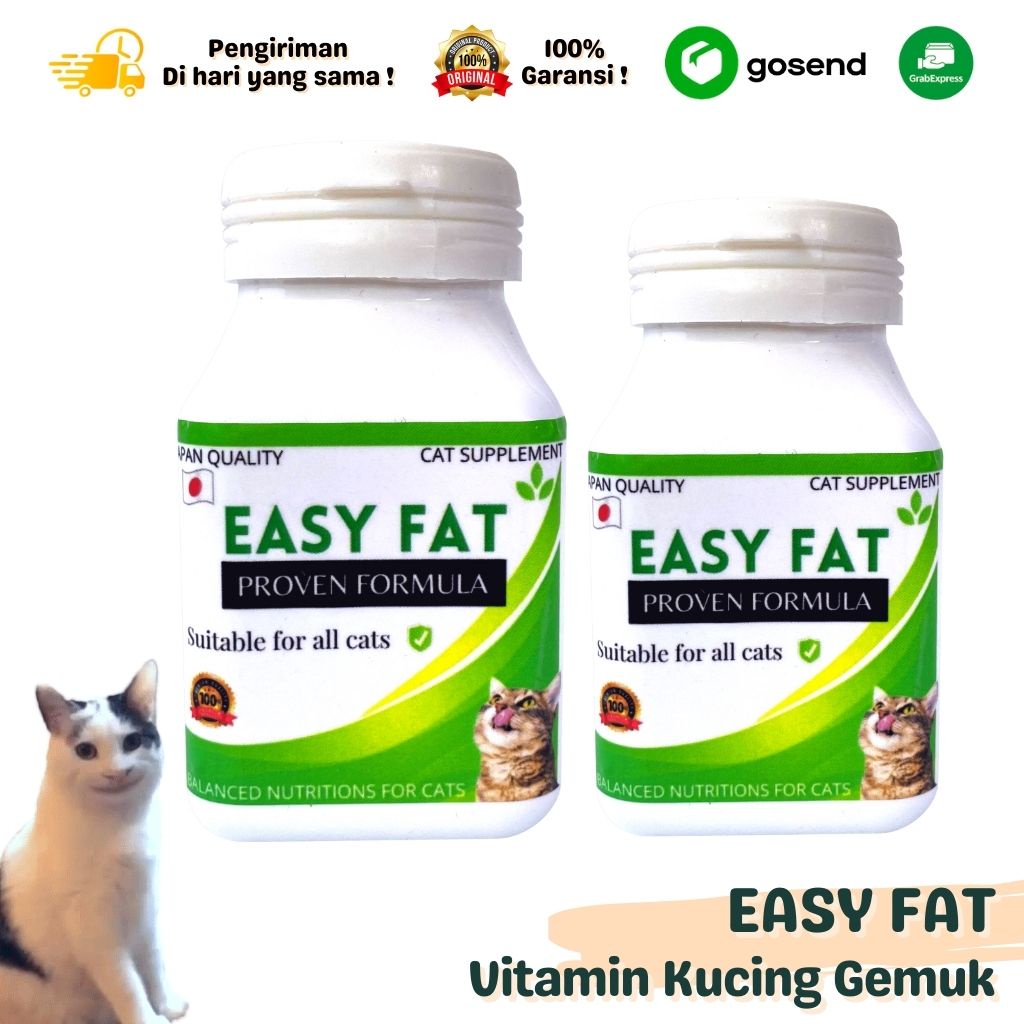 EASY FAT VITAMIN KUCING TERBAIK OBAT KUCING KURUS KUCING PERSIA KUCING ANGORA ANGGORA