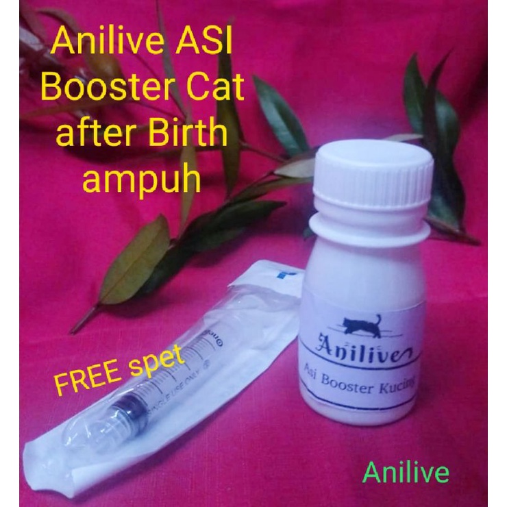 Anilive- Asi booster kucing penambah asi kucing susu kucing vitamin melancarkan asi mengentalkan
