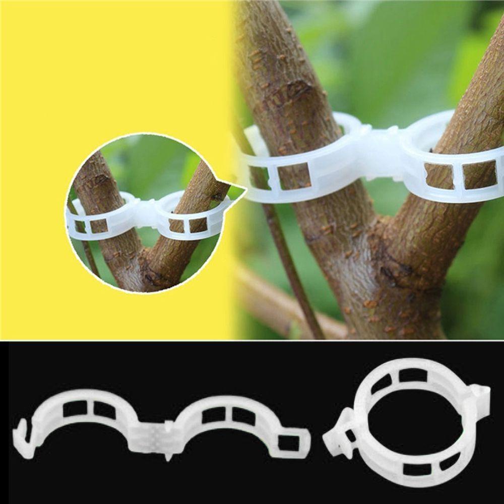 Lanfy Klip 100 Pcs Tendril Stem Vines Klip Teralis Sambung Bush Tangkai Penjepit Benang Perlengkapan Berkebun Pengikat