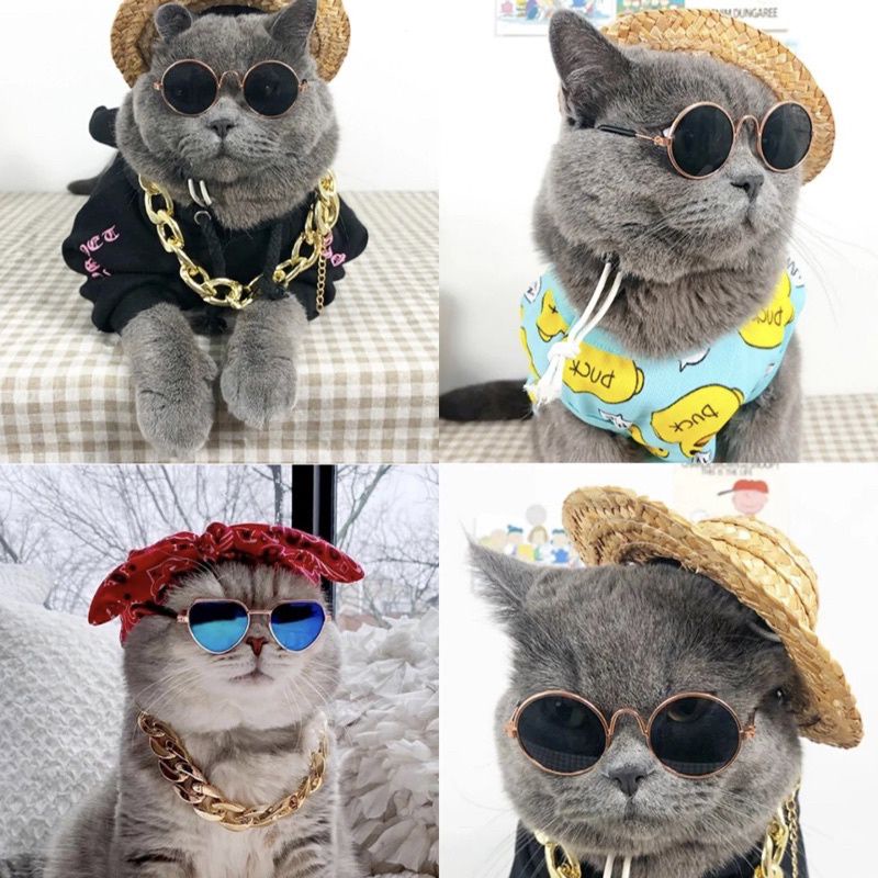 TGM -  Kacamata Kucing Keren Lucu Kaca Mata Kucing Anjing Cosplay Aksesoris Hewan Peliharaan Pet Properti Alat Peraga Foto Kucing
