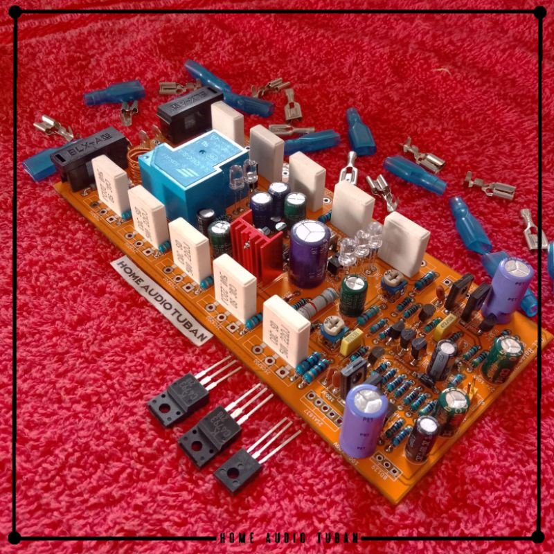 Kit Driver Amplifier OCL BALAP 2U plus PROTEKTOR DOBEL LAYER