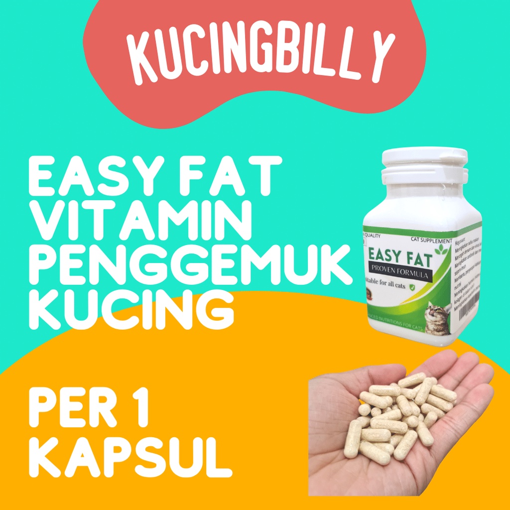 Easy fat vitamin penggemuk kucing dan nafsu makan per kapsul