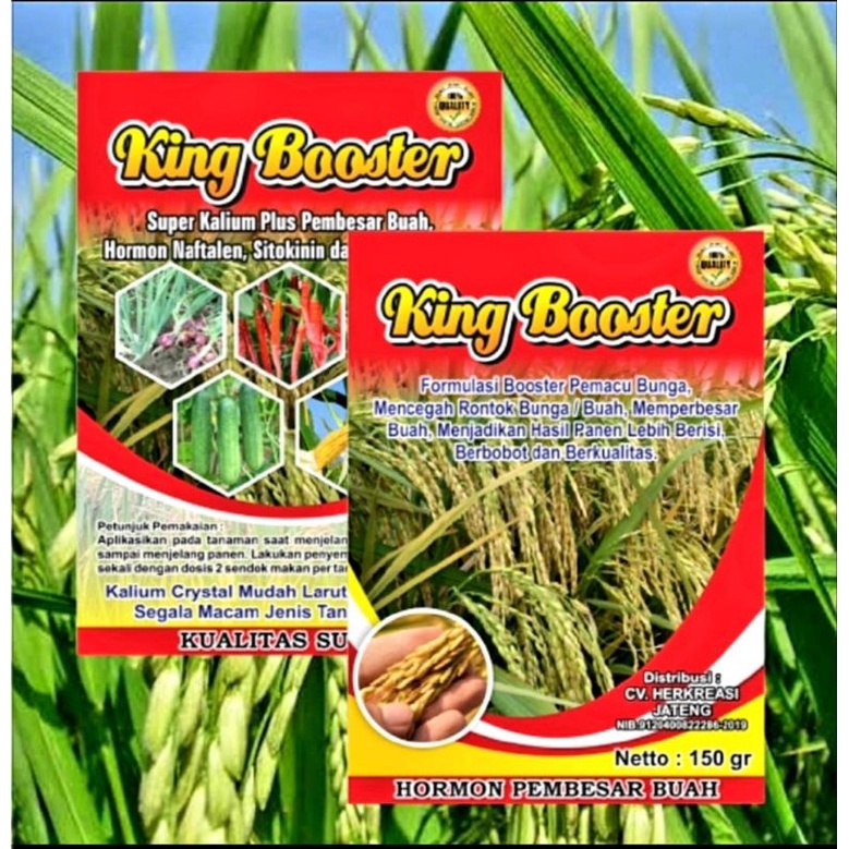 PUPUK KING BOOSTER BUAH KEMASAN 150 GRAM