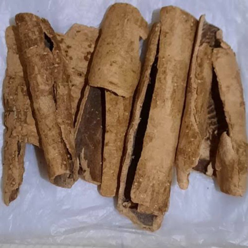 

Kulit Kayu Pule 500gr Pulai