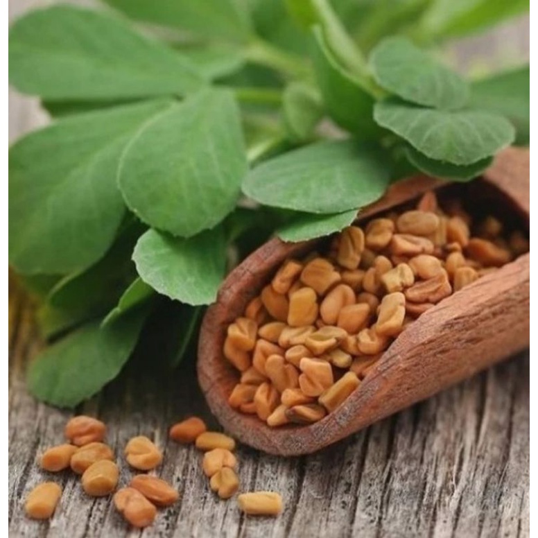 

Halba - Klabat - Fenugreek - Methi Dana 100 gram