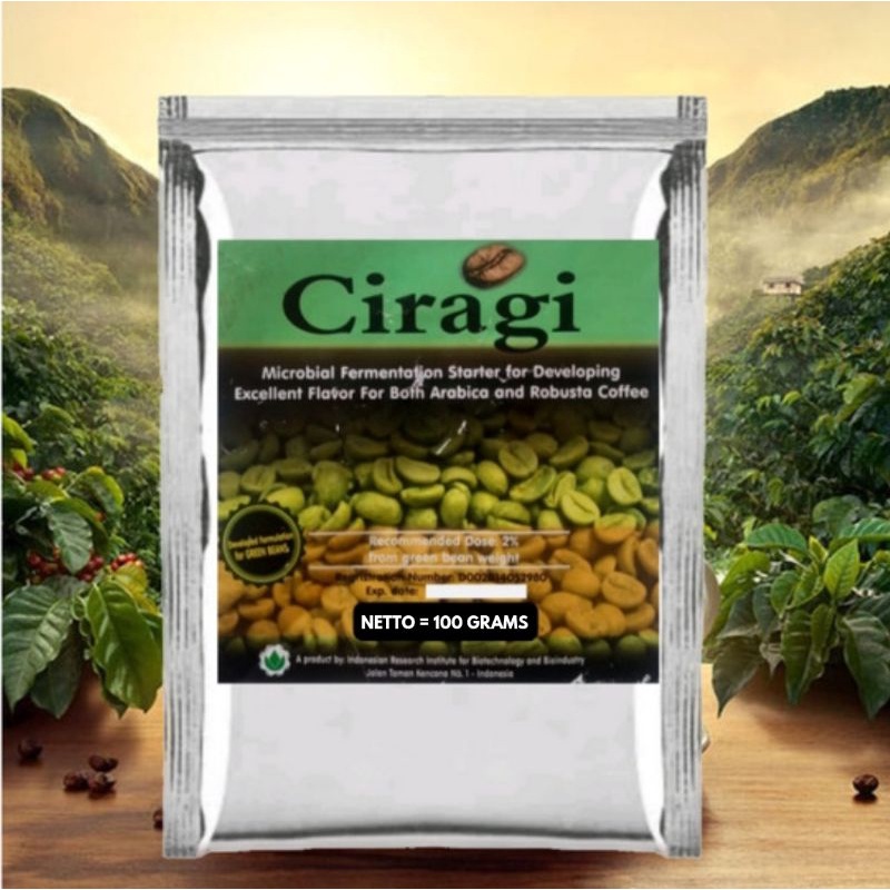 

CIRAGI Ragi Fermentasi Biji Kopi Robusta Arabica