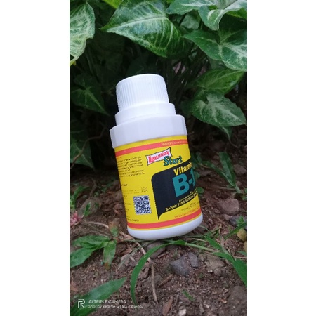 Liquinox Start Vitamin B1 100ML