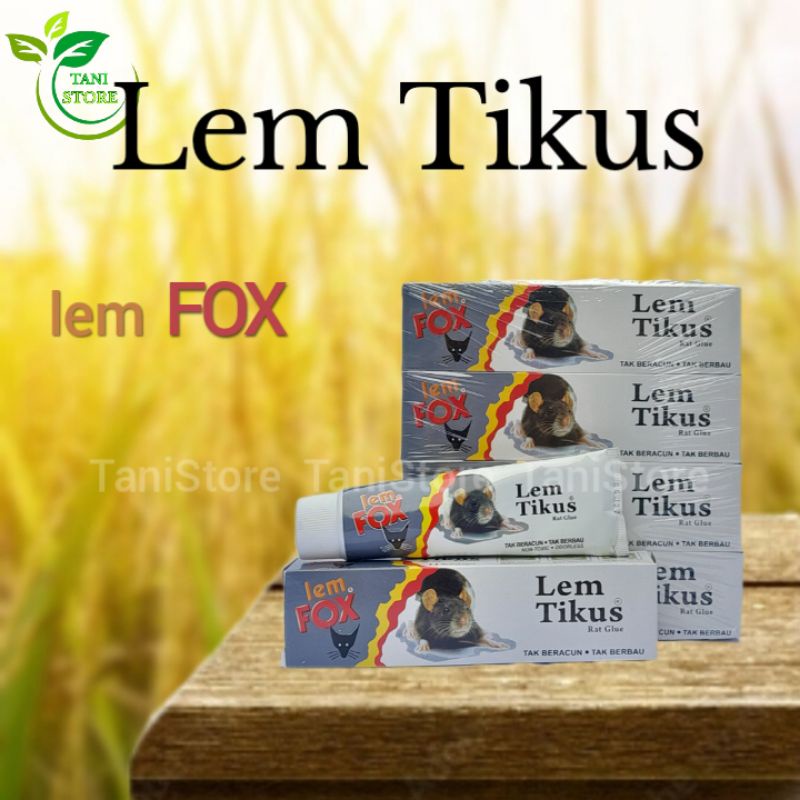 Lem tikus fox_lem tikus