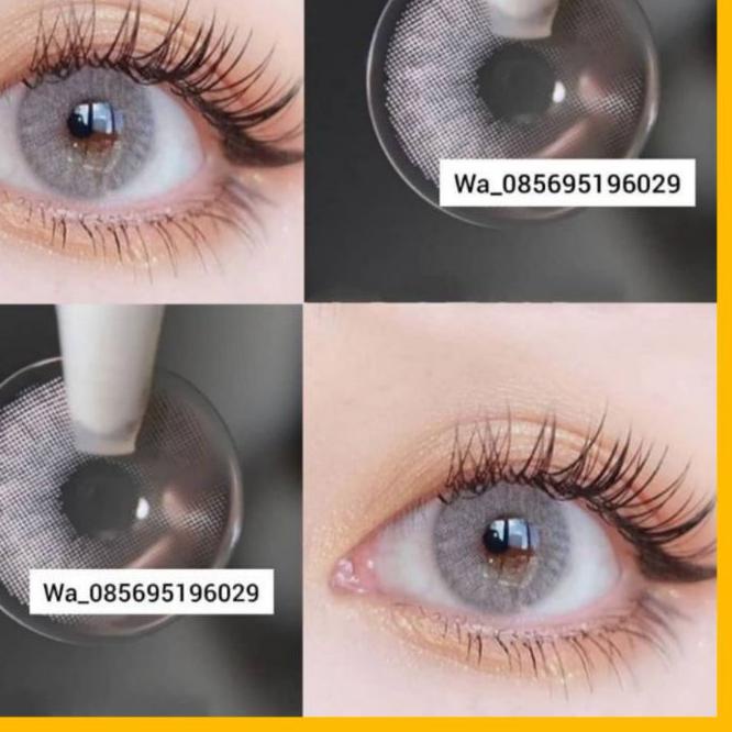 ☆ SOFTLENS SPATAX SOFTLENS BROWN SOFTLENS GREY GRAY NATURAL ♛