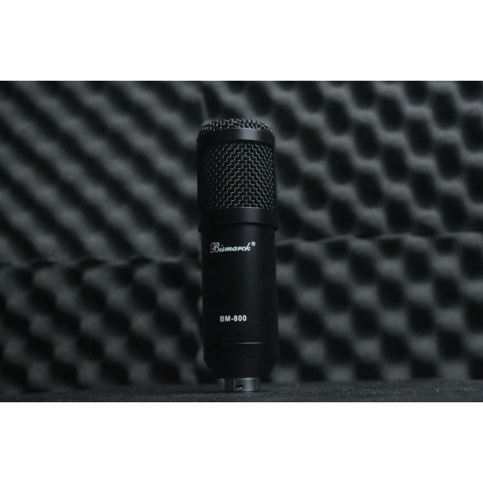 Condenser Mic Bismarck BM-800