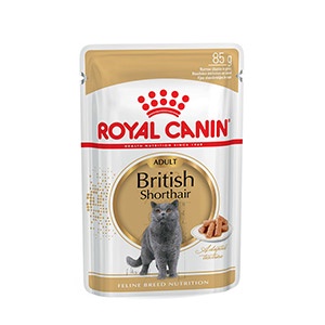 Royal Canin British Shorthair Pouch 85 gr - Makanan Basah Kucing Dewasa - PSID7