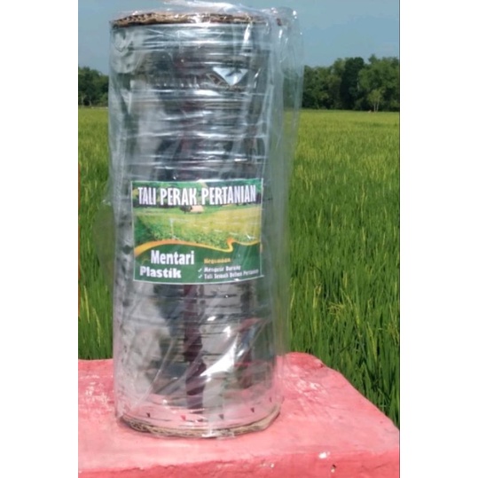 Tali Perak Pengusir Burung Sawah