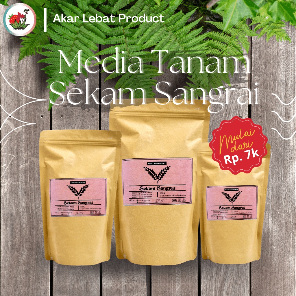 Media Tanam Sekam Sangrai