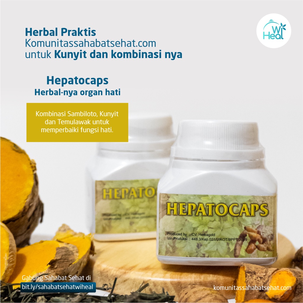 

Obat Herbal Hepatocaps Herbal Liver, Obat Anti Hepatitis, Herbal Faty Liver, Regenerasi Sel hati