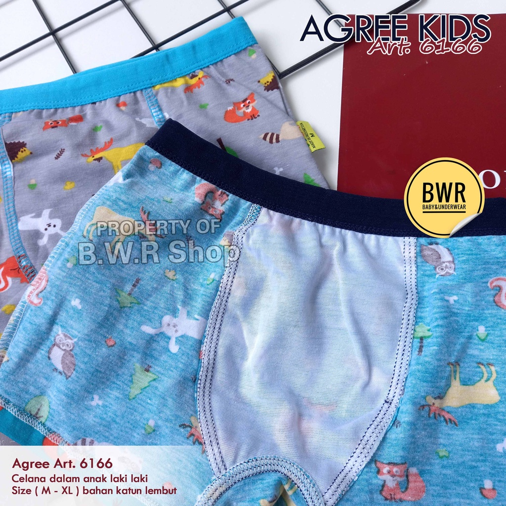 [ 2pc ] CD Boxer Agree 6166 WARNA / Celana Dalam Boxer Anak Laki Laki Putih Motif Random | Bwr