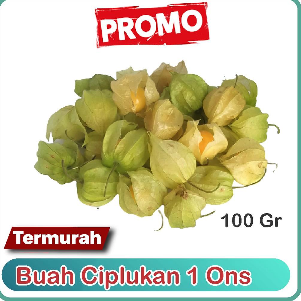 

Realpct Jual Buah Ciplukan Murah 100gram / 1ons -Cecenet - Golden berry From Bandung