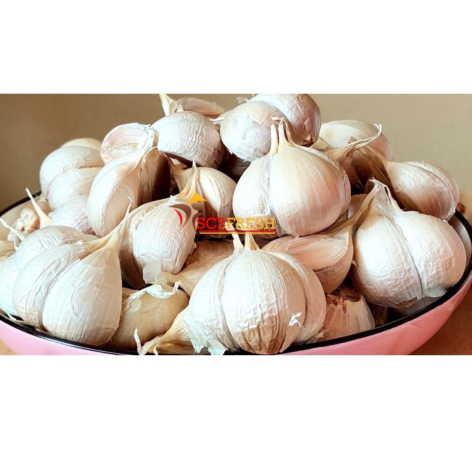 

✔✔SALE✔✔ Bawang Putih Kating Bersih 500 Gram