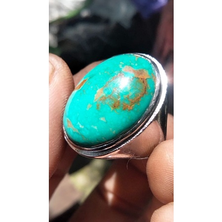 pirus persi ijo urat mas
