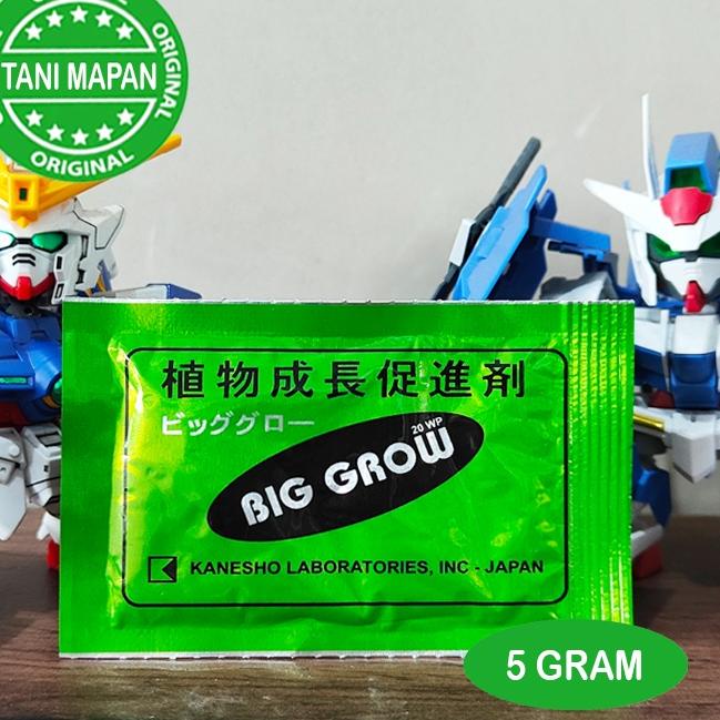 

5.5 COD ZPT - BIG GROW 5 gram - GA3