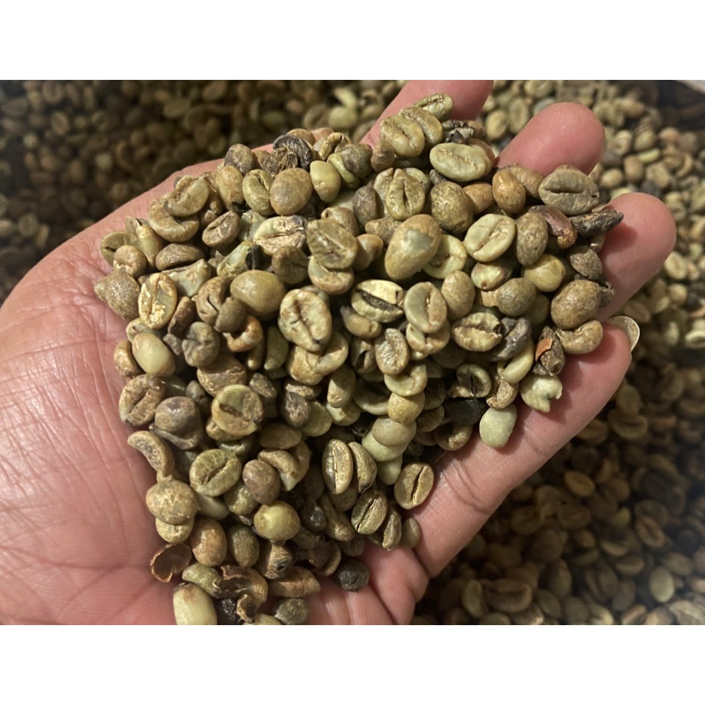 

Biji Kopi Robusta | Green Bean Robusta 500 gr