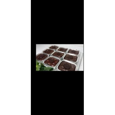 

fudgy brownies mini