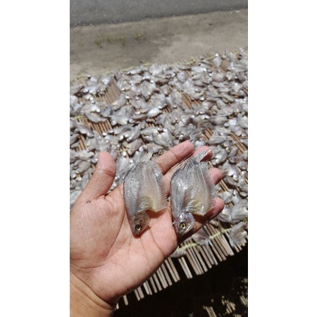 

IKAN SEPAT KERING KHAS KOTA MARTAPURA KAB. BANJAR