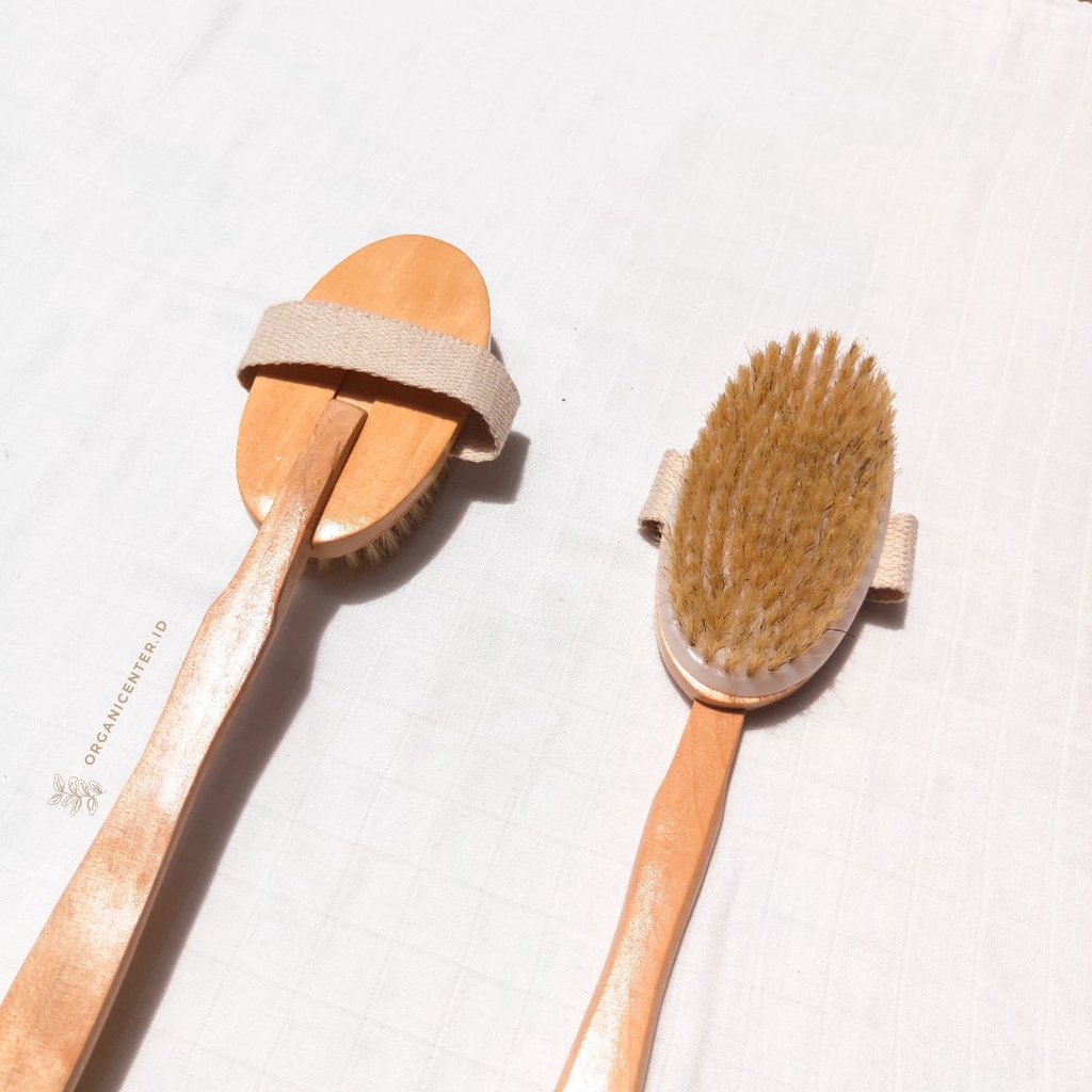 Sikat Punggung Bambu Natural Bristle Bamboo Back Brush Oval Head EcoFriendly Alami  Ramah Lingkungan Eksfoliasi Gosok Kuas Mandi Zero Waste Badan Spons Shower Puff