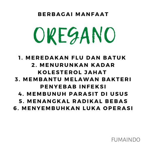 Daun Oregano 50gr / Oregano / Oregano Kering / Oregano Flakes /  Rempah / 100% PREMIUM QUALITY