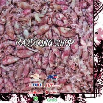 

✪ BABY CUMI TELUR ASIN REBUS SIZE (0.5 - 2cm)(1000gr/1kg). ✮