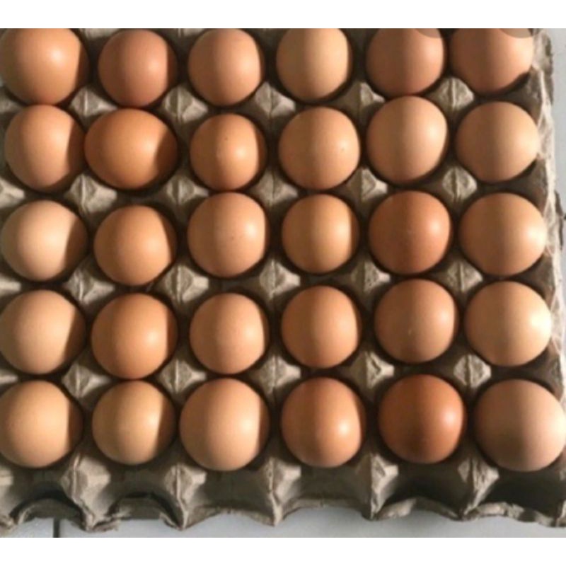 

telur segar 30 pcs