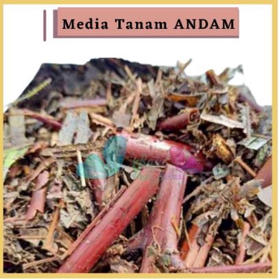 ANDAM Media Tanam Organik dari Pakis Bambu Fermentasi Tanaman Pakis Halus Kemasan 1Liter Untuk Tanaman Hias Anggrek Aglonema Calathea Caladium Anthurium