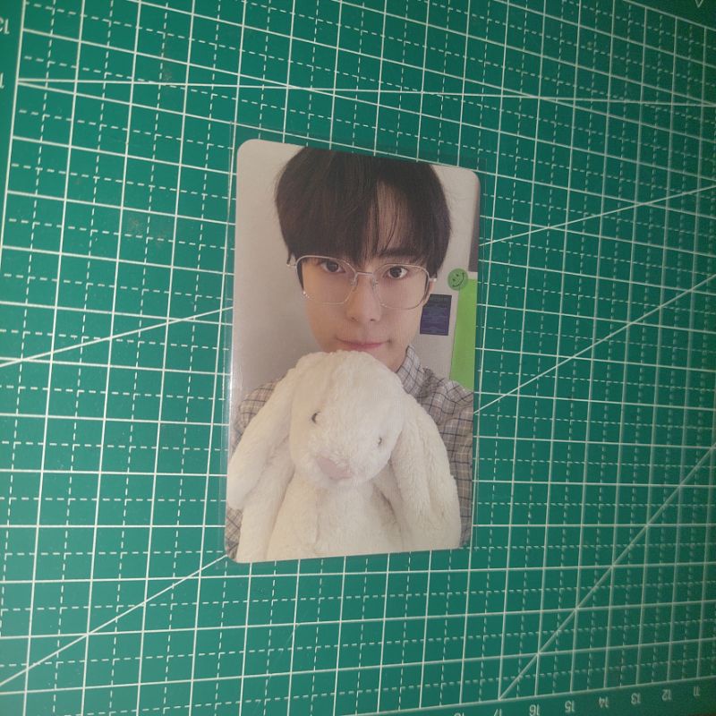 photocard pc doyoung nct 127 sticker doy bunny