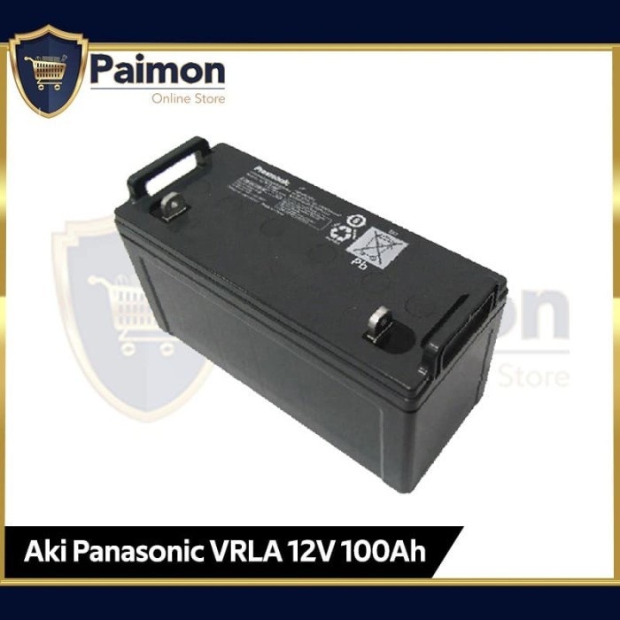 Panasonic 12V 100 Ah